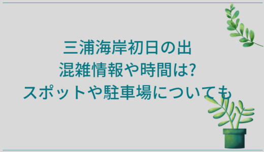 三浦海岸初日の出2025|混雑情報や時間は?スポットや駐車場についても