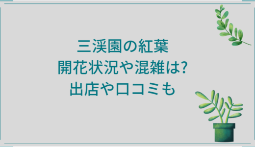 三渓園の紅葉2024|開花状況や混雑は?出店や口コミも